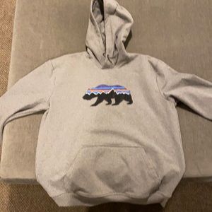Large patagonia grey hoodie